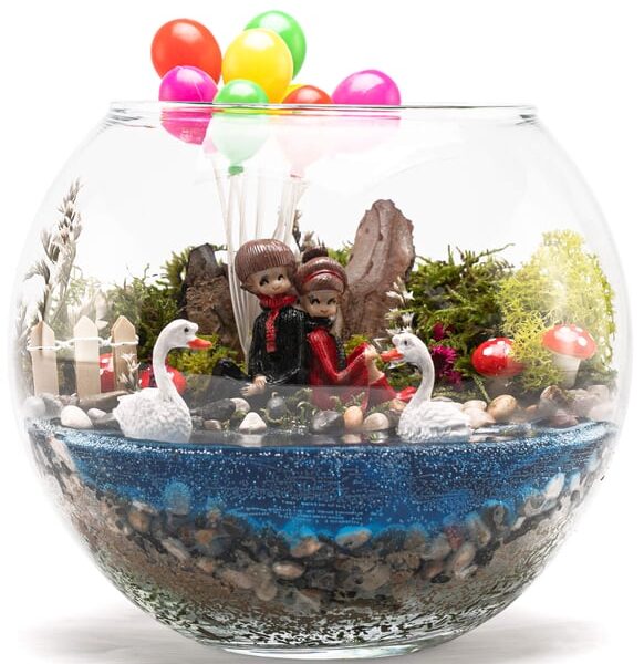 Teraryum Çeşitleri